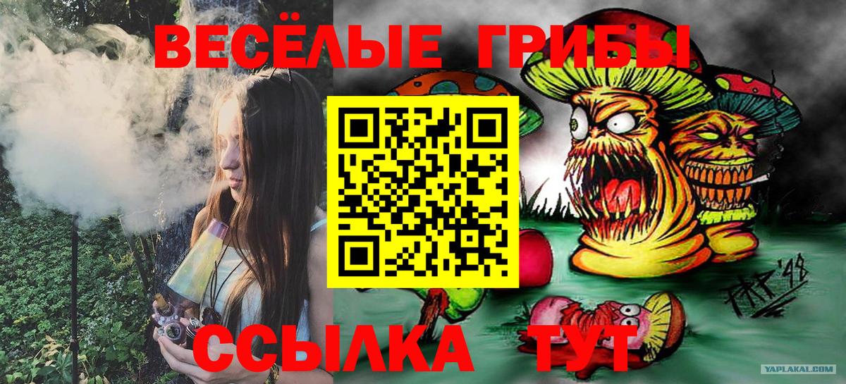Галлюциногенные грибы GOLDEN TEACHER Еманжелинск